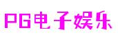 湖北省武汉市pgsoft软件开发有限公司